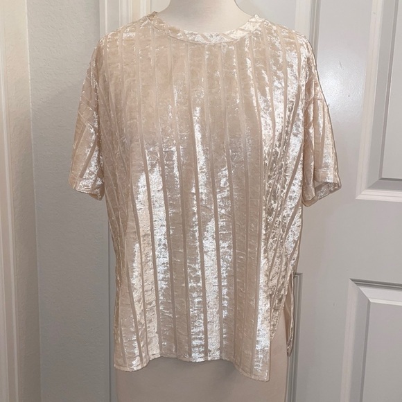 EXPRESS velvet striped sheer short sleeve shirt w/ high-low slit in size medium - Picture 2 of 9